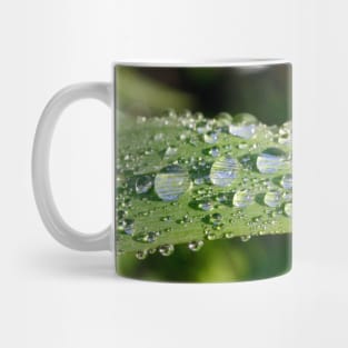 The Effects of Rain Mug